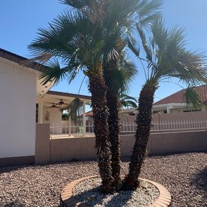 Meet your Posher, Carm